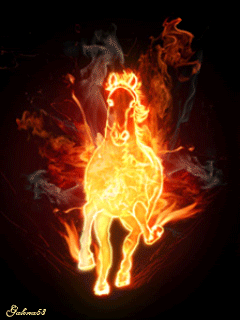 Fire Horse Pictures, Images and Photos