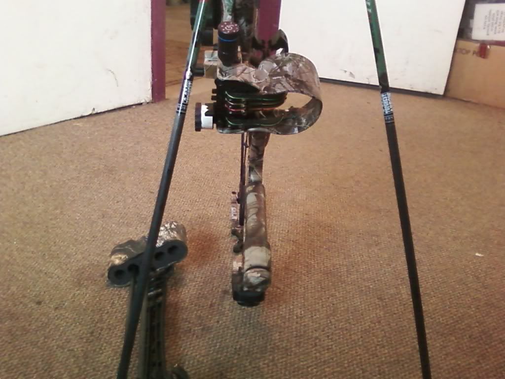 http://i780.photobucket.com/albums/yy83/kdzpete/bow4.jpg