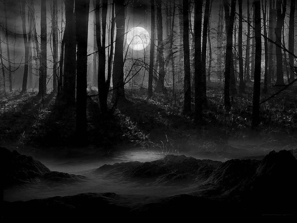 dark forests photo: Dark Forest darkforest.jpg