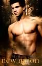 JACOB BLACK IS HOT Pictures, Images and Photos