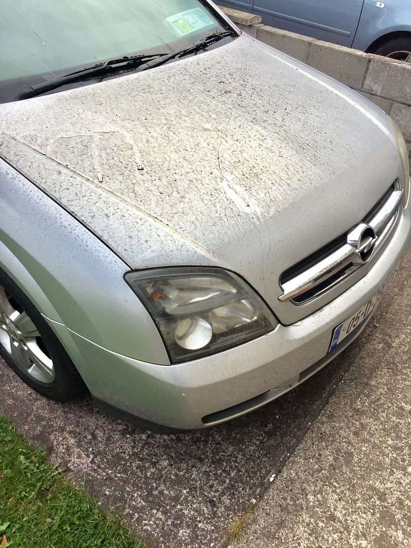 First Clean in 2 Years Detailing World Forum