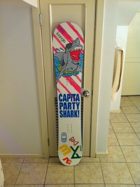 Capita Party Shark