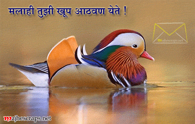 Miss you Greetings - Majhe Scraps For Orkut