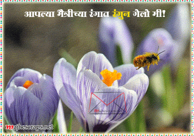 Friendship Greetings - Majhe Scraps For Orkut