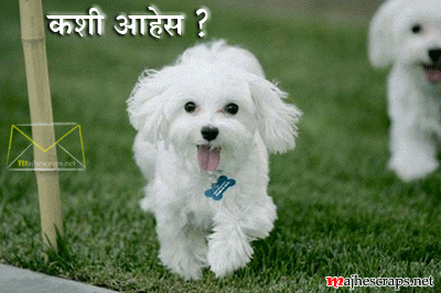 Hi Hello Greetings - Majhe Scraps For Orkut