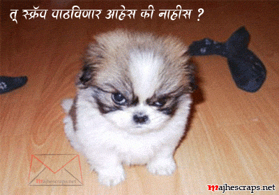 e-Cards - Majhe Scraps For Orkut