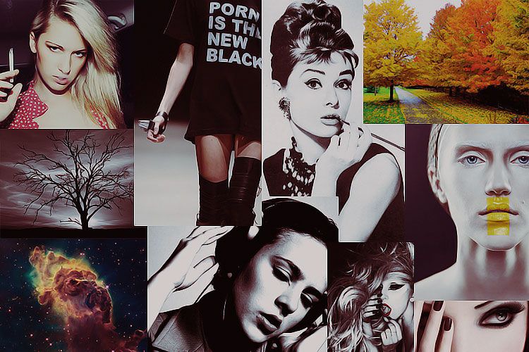 collage2