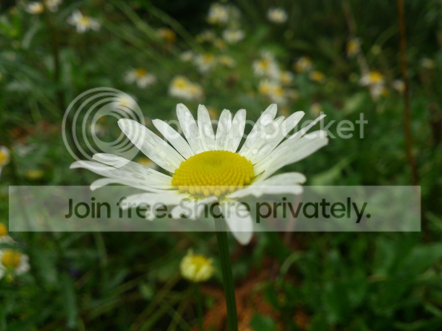 sdfsd_zps9425e775.jpg